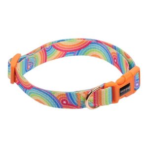 Leads & Collars | Pet Collar, Rainbow, Medium Leads & Collars Leads & Collars