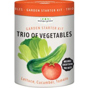 Pots & Plants | Trio Of Vegetables Garden Starter Kit Garden Pots & Plants